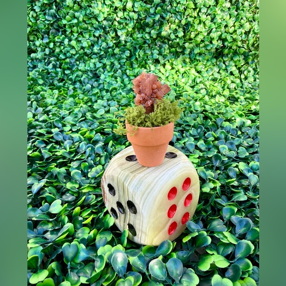 Aragonite Crystal “Succulent” on Green Onyx Dice – Handcrafted One-of-a-Kind